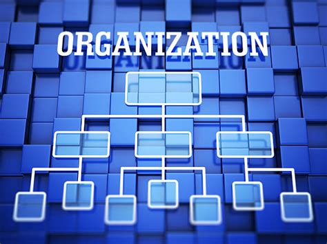 Best Organization Chart Stock Photos Pictures And Royalty Free Images