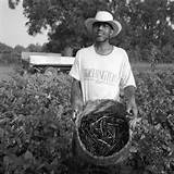 My Settlement Claims Black Farmers Photos