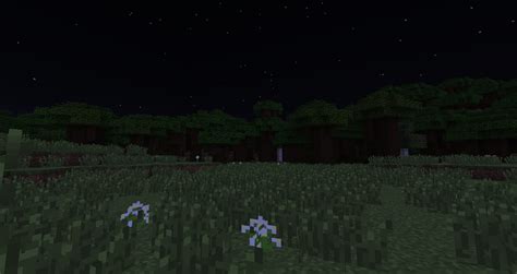 Use the following search parameters to narrow your results the beauty of wallpaper quality astronomy backgrounds modded into minecraft at night. Night | Minecraft Wiki | Fandom