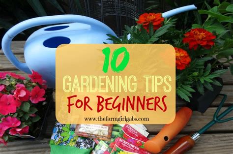 10 Gardening Tips For Beginners How Does Your Garden Grow