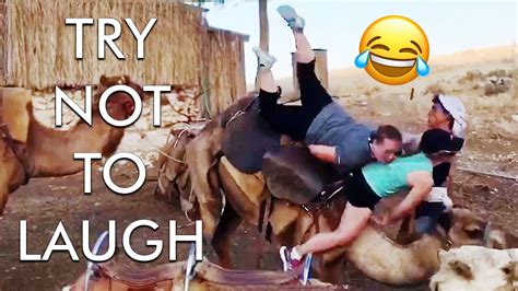 2 Hour Try Not To Laugh Challenge Best Funny Fails Of The Week