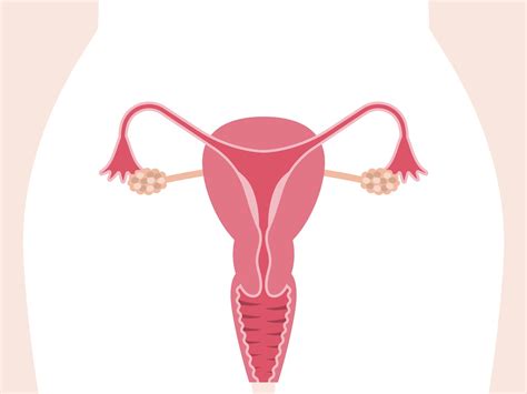 Early Ovarian Cancer Symptoms Why Are They Often So Vague Self