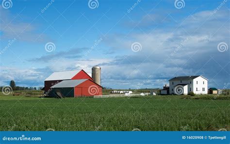 Farm House And Barns Stock Photo Image Of Farming 16020908