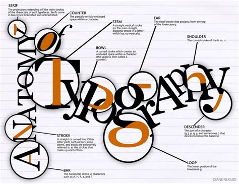 Anatomy Of Typography Anatomy Of Typography Typographic Poster