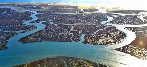 Passeios ria formosa, fuseta, portugal. Ria Formosa alvo de campanha de limpeza - Algarve Vivo