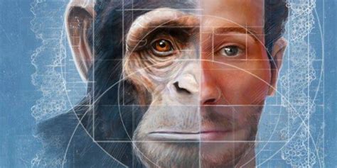 Chimps And Humans Face Off In Stanford Study On Inter Species Variation