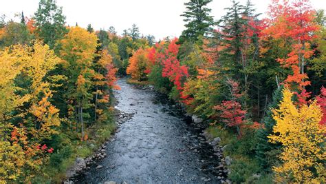Top fall-color drives in Michigan, and dates to go