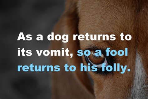As A Dog Returns To Its Vomit —