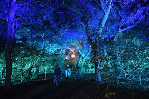 Lightswitch And Elation Lighting Magic At Descanso Gardens Enchanted