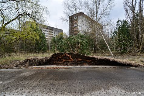 Chernobyl 30 Years Later Andre Joosse