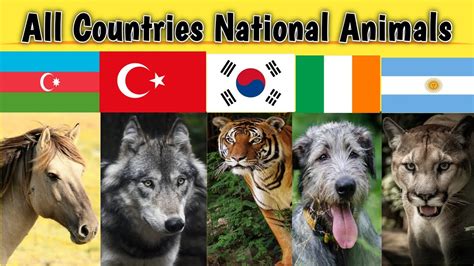 National Animals Of Countries Each Country National Animal With