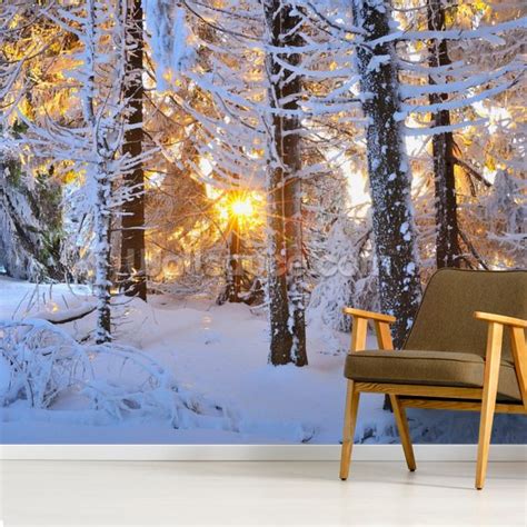 Snow Covered Trees Wall Mural Wallsauce Uk