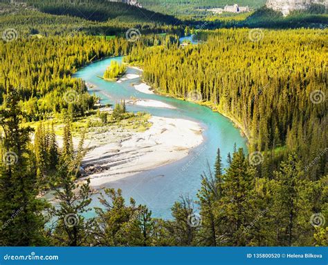 Bow River Banff National Park Royalty Free Stock Photography