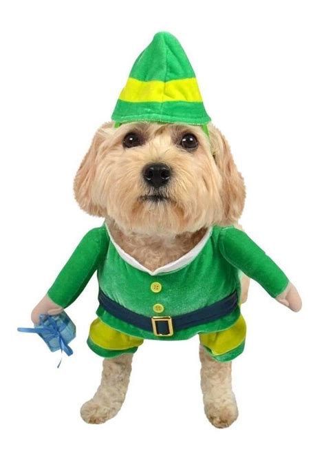 Green Leprechaun Or Elf Dogpet Costume Outfit With Hat