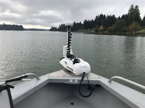 24 Volt Trolling Motor System The Ultimate Buyers Guide