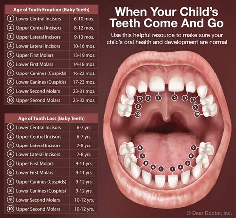 Teething Merced Pediatric Dentistry Merced California