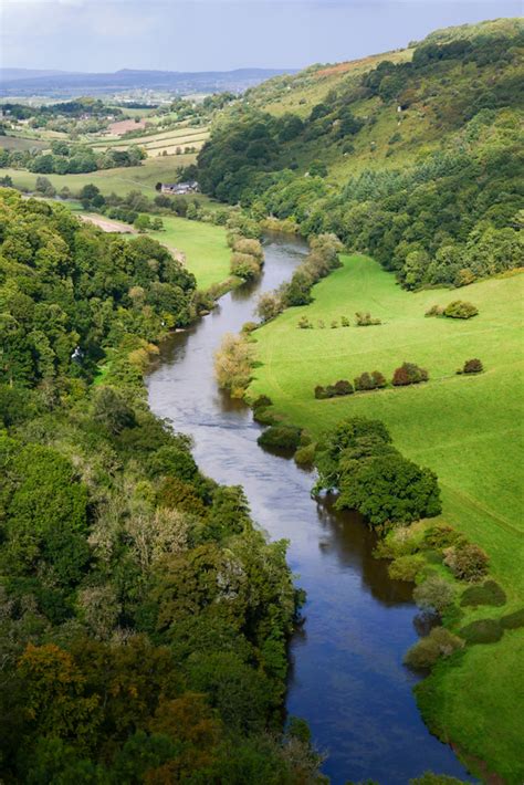 The Forest Of Dean And Wye Valley Wildlife Location In United Kingdom