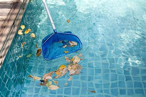 Why Swimming Pool Maintenance Is Important Living Acre