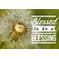 The Blessing In Being A
