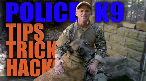 Police K9 Training Tips Tricks And Hacks Youtube
