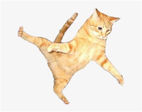 Flying Cat Png Clip Art Library
