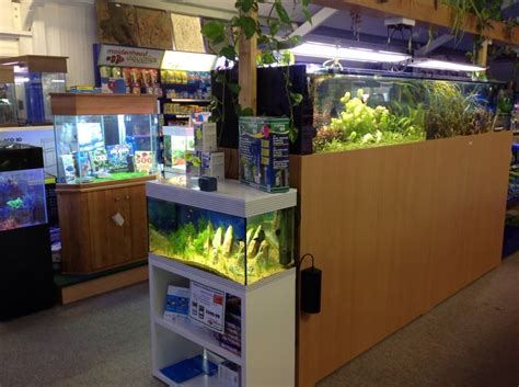 Isle Of Wight Maidenhead Aquatics Fish Store Review Tropical Fish Site