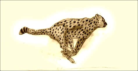 It will be very easy drawing tutorial. Running Cheetah Sketch by TheMoonAndSun on DeviantArt