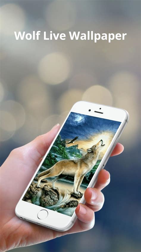 Wolf Live Wallpaper Apk For Android Download