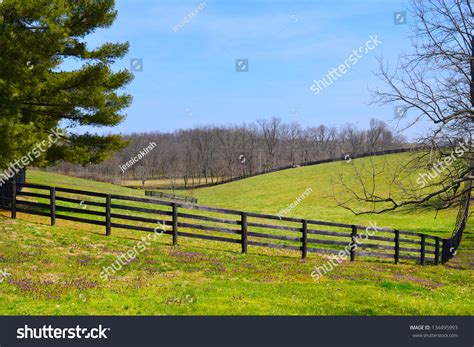Kentucky Horse Farm In Kentuckys Horse Country During The Springtime