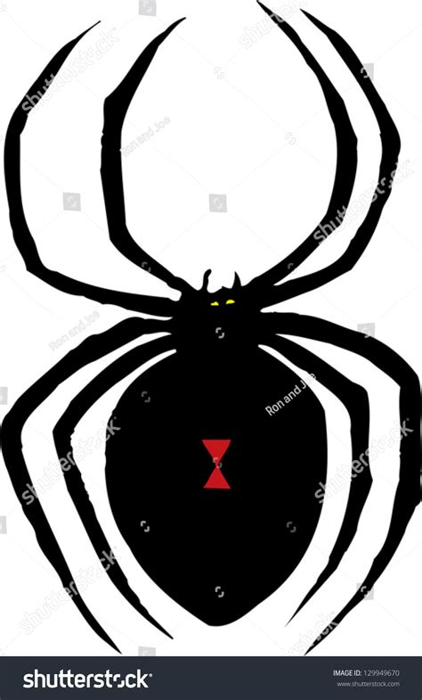 Vector Illustration Of Black Widow Spider 129949670 Shutterstock