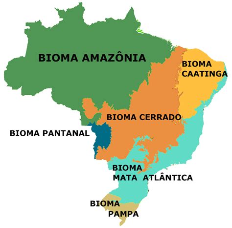 Relacione Os Biomas Brasileiros As Suas Respectivas Características