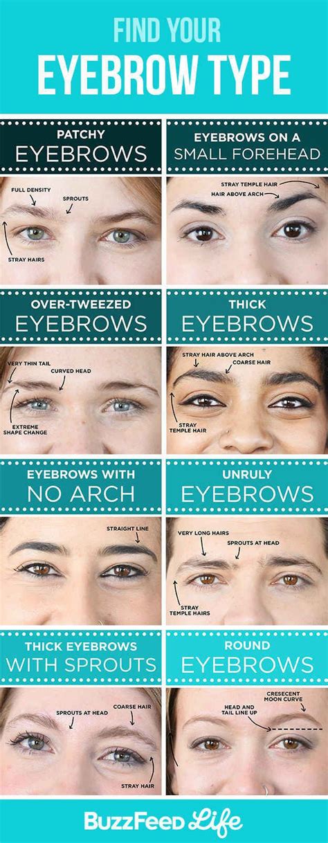 Now For The Specifics The Eyebrow Type You Have Will Determine Your Grooming Details Types
