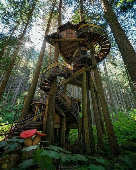 Tree House In The Enchanted Forest British Columbia Canada