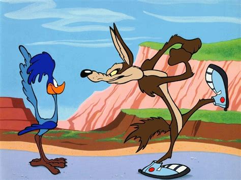 Wile E Coyote And The Road Runner Wallpaper Hd Download
