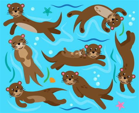Sea Otter Swimming Underwater Drawing