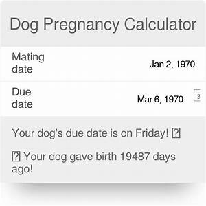 Dog Pregnancy Calculator App