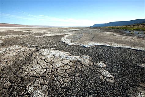 Mudcracks On Dry Lakebed Lake Abert Oregon Geology Pics