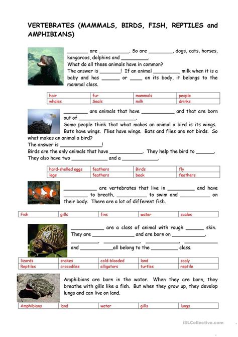The above image shows an organism from. Animals-Vertebrates and Invertebrates worksheet - Free ESL ...