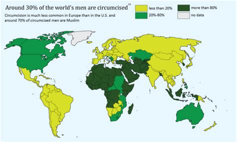 Infographic The Circumcision Decision Scienceline