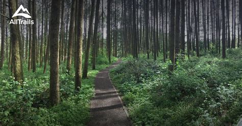 The university of oregon and the oregon ducks. Best Trails near Corvallis, Oregon | AllTrails
