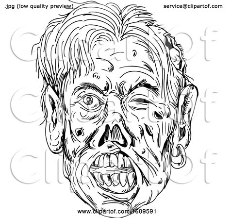 Clipart Of A Black And White Sketched Zombie Head Royalty Free Vector