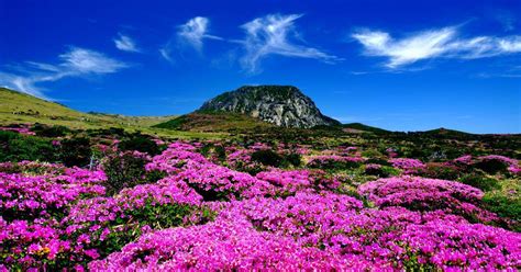 Top Attractions To Visit In Jeju Island Traveling Jeju