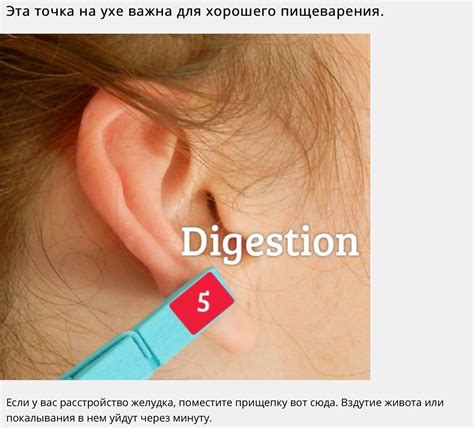 Pin By Veronique Rogozinskaya On Ihealth Ear Reflexology Clothes
