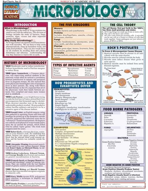 Microbiology Quick Review Study Guide Examville