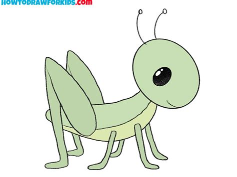 How To Draw A Grasshopper Easy Drawing Tutorial For Kids