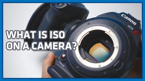 Iso What Is Iso Aperture And Shutter Speed In Videography Youtube