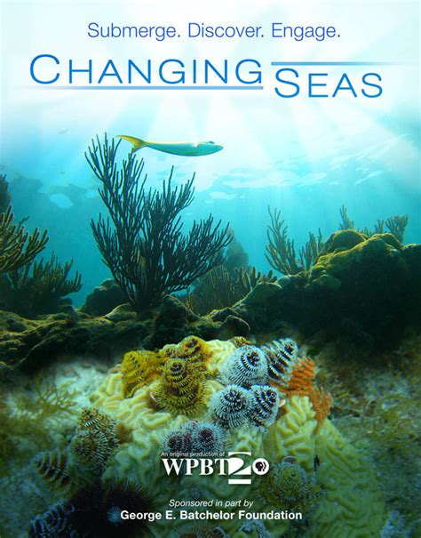 Changing Seas 2009