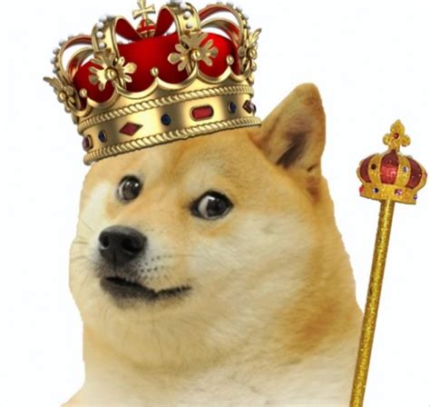 1080 doge to usd (1080 dogecoin to us dollar) exchange calculator. Someone Just Minted a Doge-Themed Crypto Token Worth $129,000