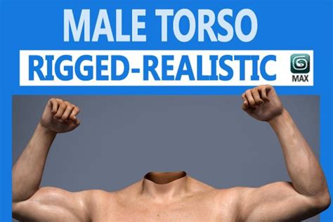 male torso rigged male torso anatomy tutorial torso