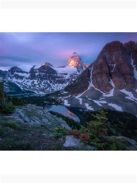 Mount Assiniboine Canada Mounted Print For Sale By Mattmacpherson